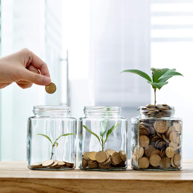 Woman putting coin in the jar with plant